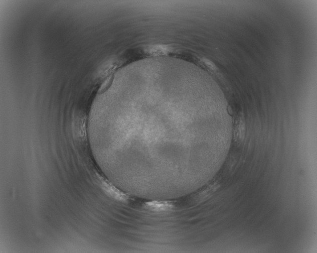 X0000080800477200701021254