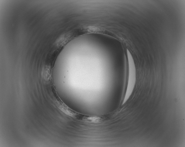 X0000080800478200701021254