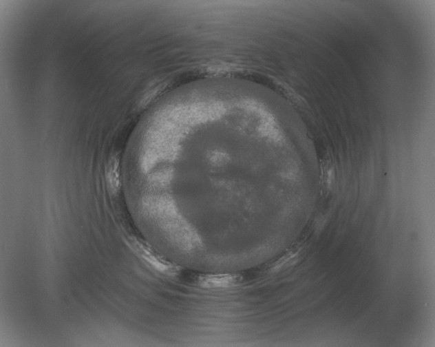 X0000080800479200701021254