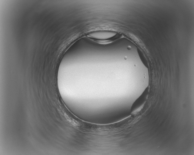 X0000080800481200701021254