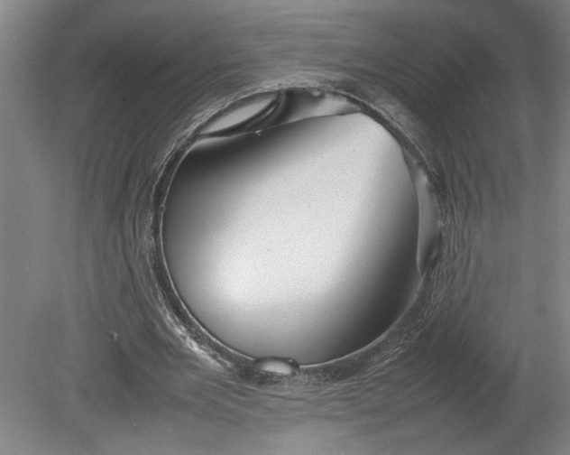 X0000080800485200701021254