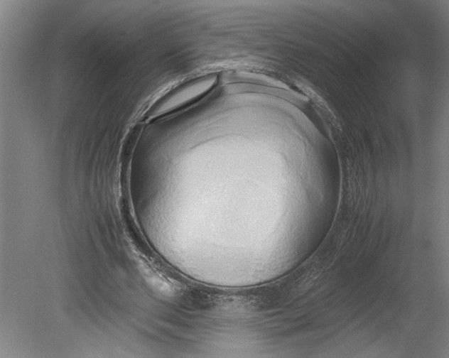 X0000080800486200701021254
