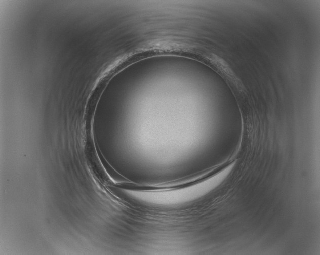 X0000080800488200701021254