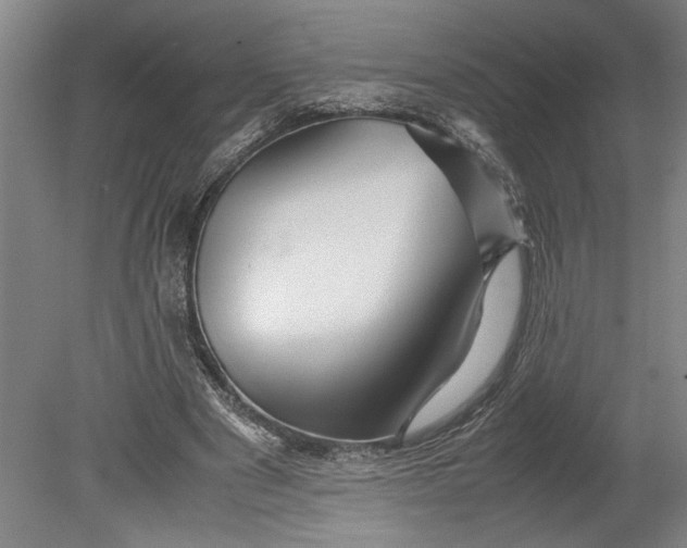 X0000080800489200701021254