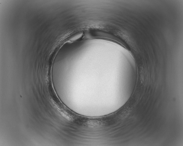 X0000080800490200701021254