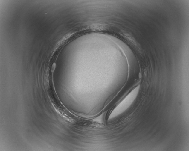 X0000080800492200701021253