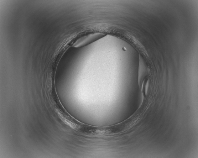 X0000080800493200701021253