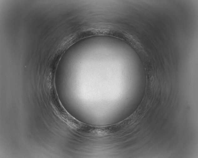X0000080800498200701021253
