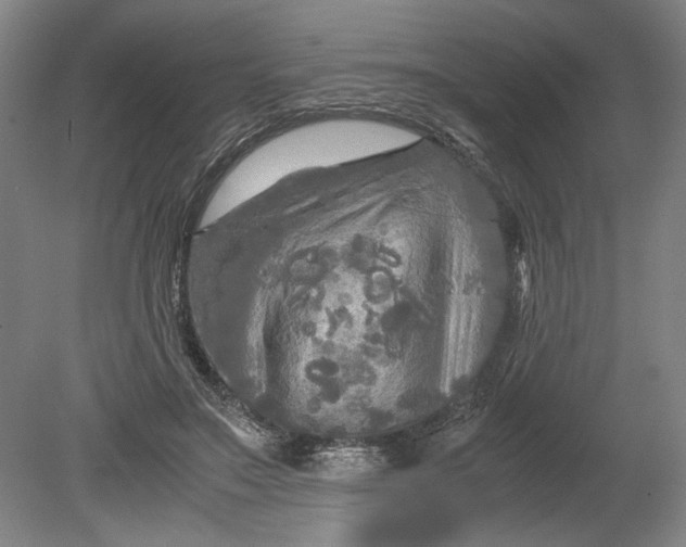 X0000080800499200701021253