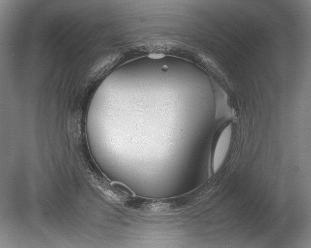 X0000080800501200701021253