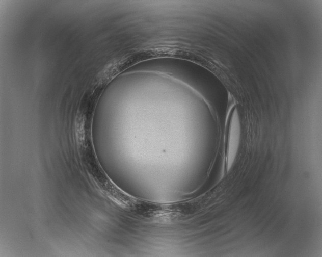 X0000080800504200701021253