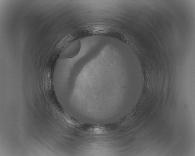 X0000080800506200701021253
