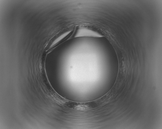 X0000080800508200701021253