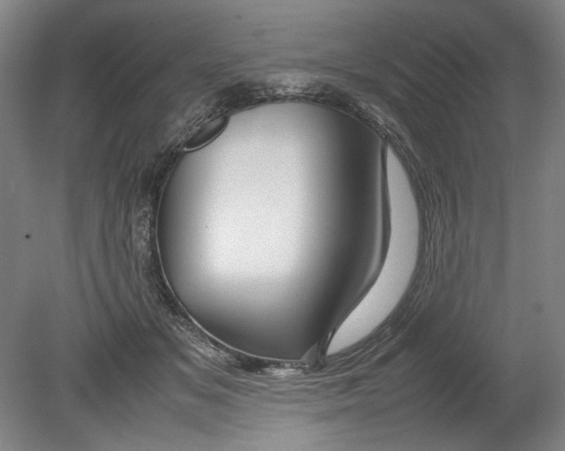 X0000080800509200701021253