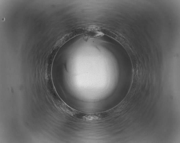 X0000080800512200701021253