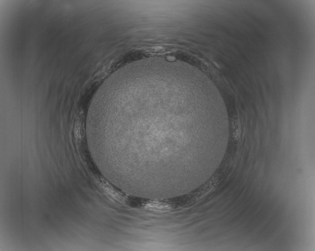 X0000080800515200701021253