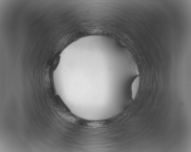 X0000080800516200701021253