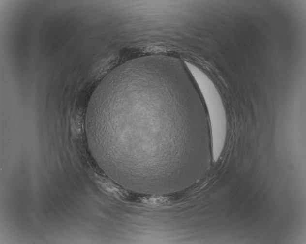 X0000080800517200701021253