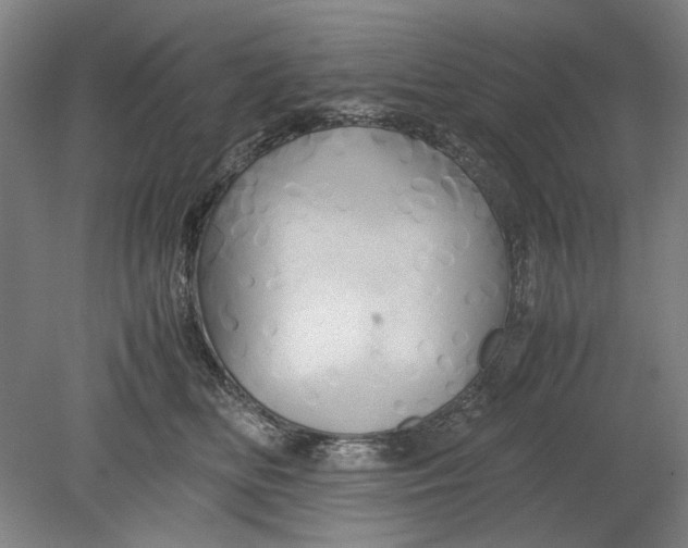 X0000080800518200701021253