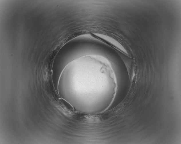 X0000080800520200701021253