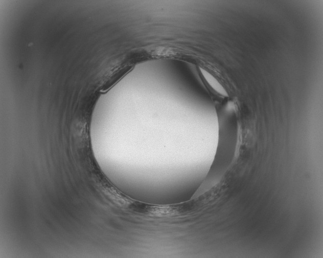 X0000080800521200701021253