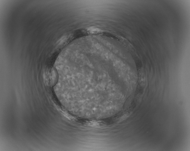 X0000080800523200701021253