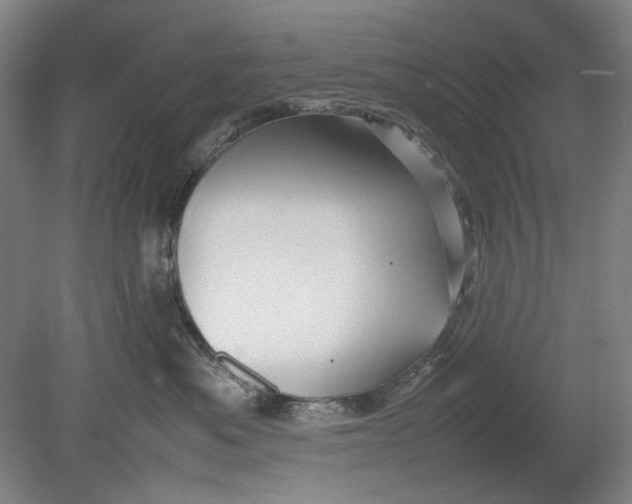 X0000080800525200701021253