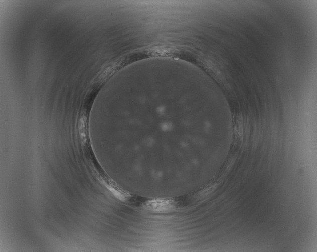 X0000080800526200701021253