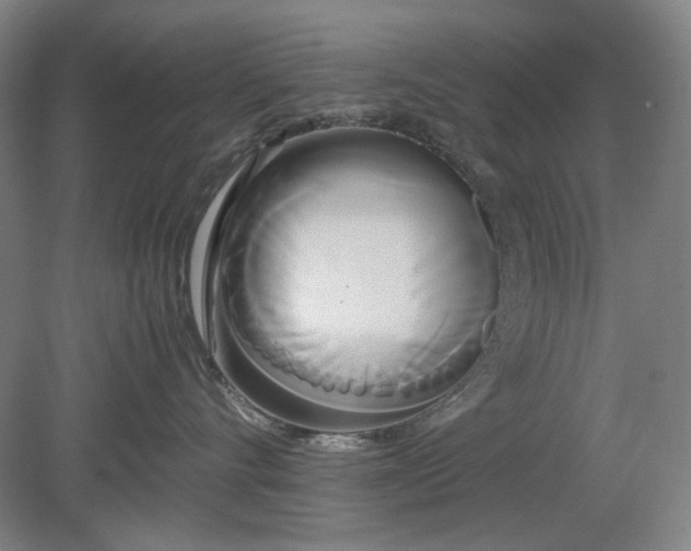 X0000080800528200701021253