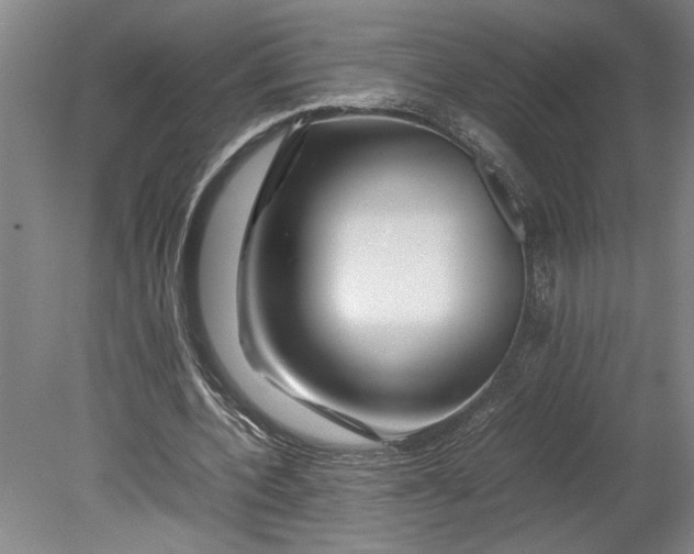 X0000080800532200701021252