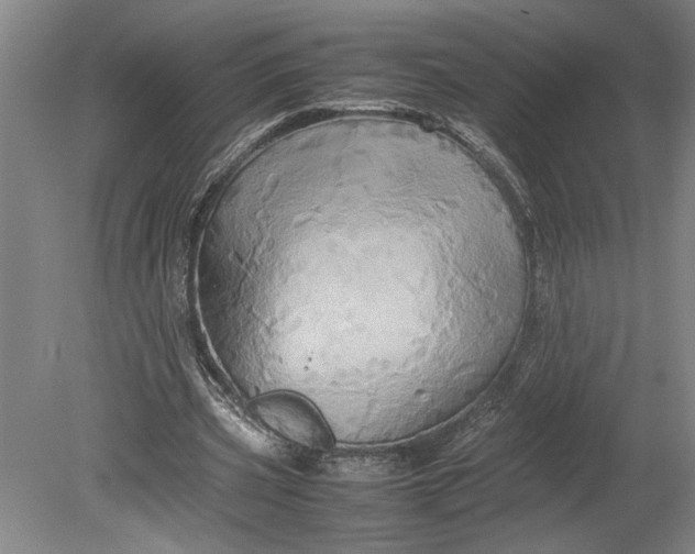 X0000080800533200701021252