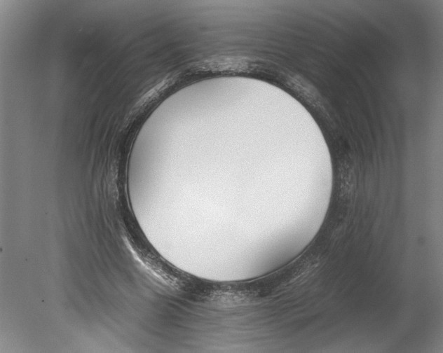 X0000080800538200701021252
