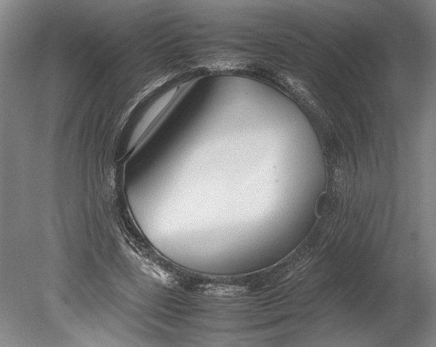 X0000080800539200701021252