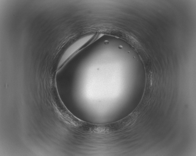 X0000080800546200701021252