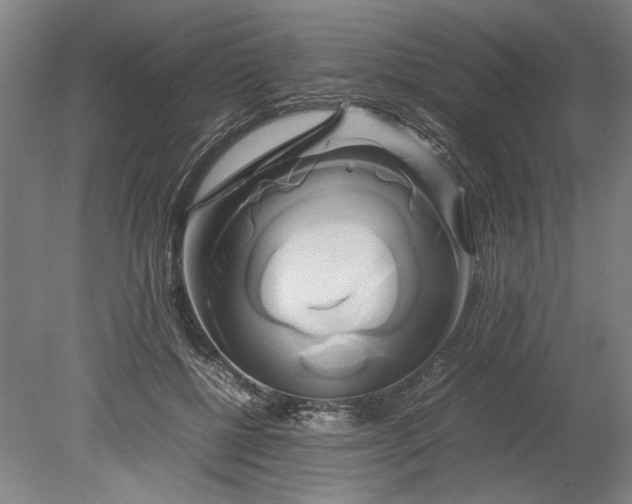 X0000080800552200701021252