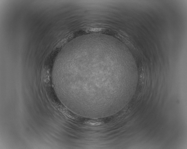 X0000080800555200701021253
