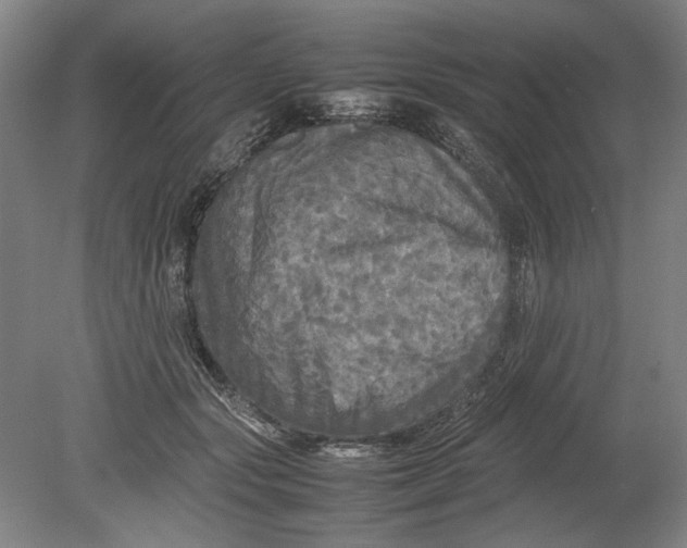 X0000080800557200701021253