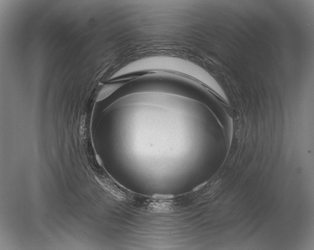 X0000080800560200701021253