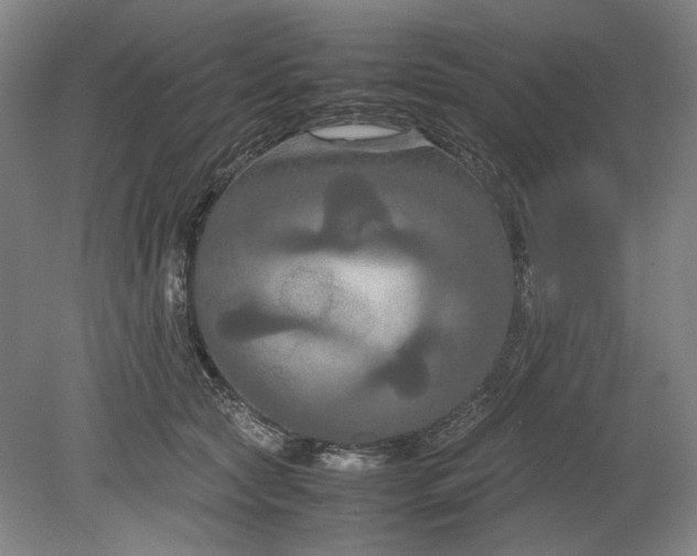 X0000080800561200701021253