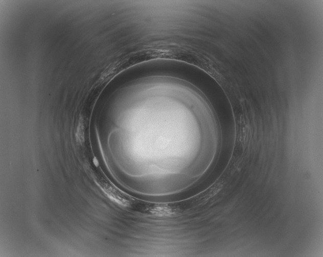 X0000080800562200701021253