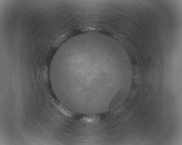 X0000080800563200701021253
