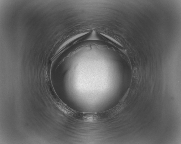 X0000080800564200701021253