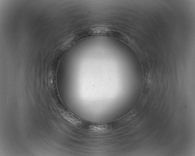 X0000080800567200701021253