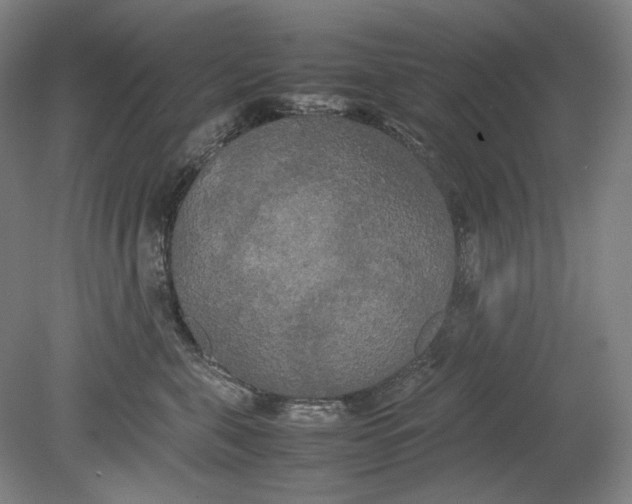 X0000080800571200701021253