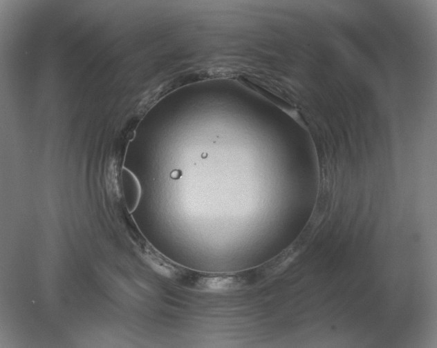 X0000080800575200701021253