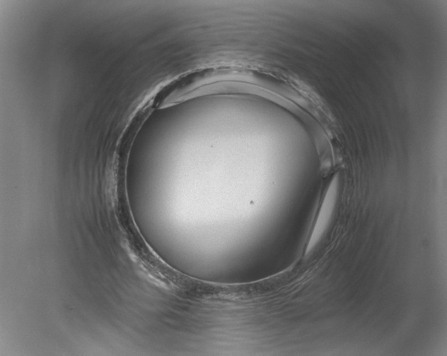 X0000080800580200701021252