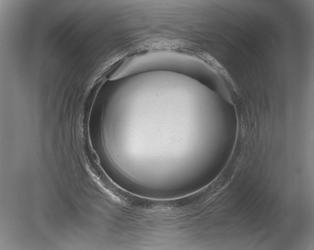 X0000080800581200701021252