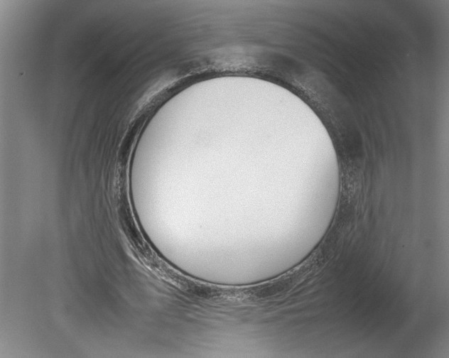 X0000080800583200701021252