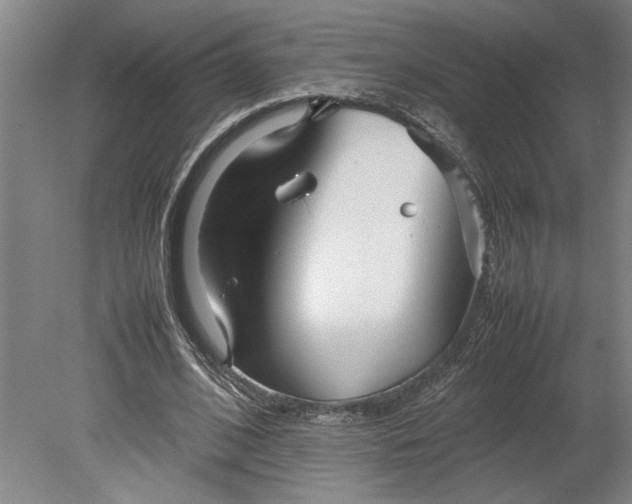X0000080800584200701021252