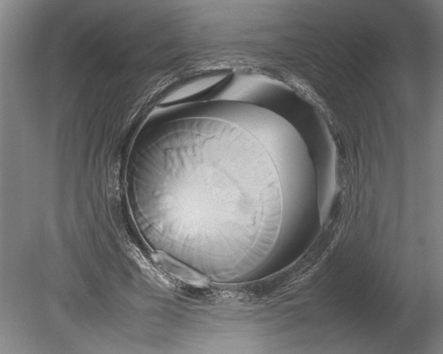 X0000080800585200701021252